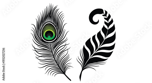 A colorful peacock feather and a black and white feather on a plain white background with a graphic design style.