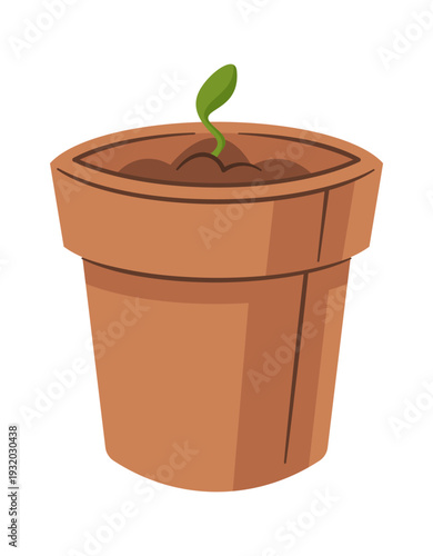 Strawberry seed sprouting in pot