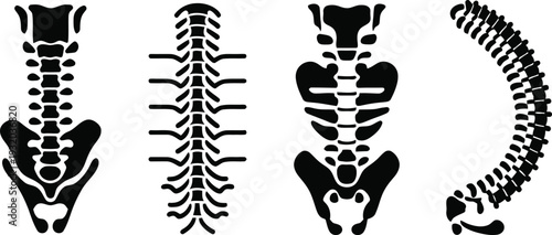 Human Spine and Pelvis Bone Silhouette Icons Set for Medical Design