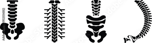 Human Spine and Pelvis Bone Silhouette Icons Set for Medical Design