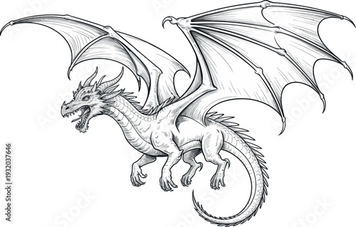 A fierce fantasy dragon with large bat-like wings is sketched in detailed black lines. The mythical beast has sharp claws, scales, and horns, appearing ready to take flight. 