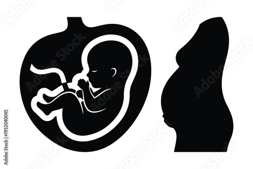 Fetus in Uterus and Pregnant Woman Silhouette Vector Art