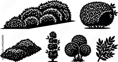 Silhouette vector shrub and bush set with varied shapes close up ornamental garden foliage flat black illustration isolated collection decorative