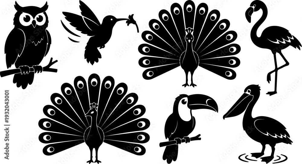 Naklejka premium Flat design bird silhouette set with peacock owl toucan hummingbird flamingo pelican on white background close up black vector icons