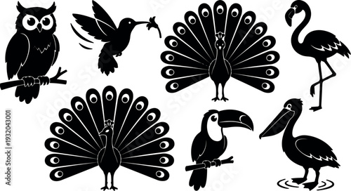 Flat design bird silhouette set with peacock owl toucan hummingbird flamingo pelican on white background close up black vector icons