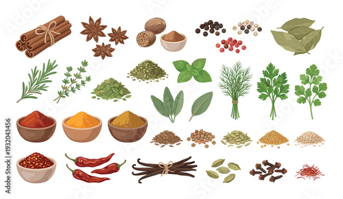 Collection of various spices and herbs arranged on a white background for culinary use