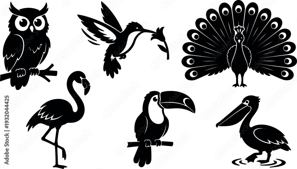Obraz premium Silhouette vector flat design six exotic birds owl hummingbird peacock flamingo toucan pelican black decorative in varied poses and angles