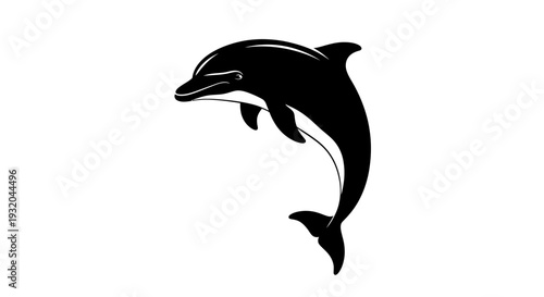 Jumping dolphin silhouette on white background for marine life imagery