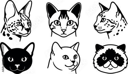 Line art six cat head icons in black and white showing different breeds facing forward and profile close up expressions
