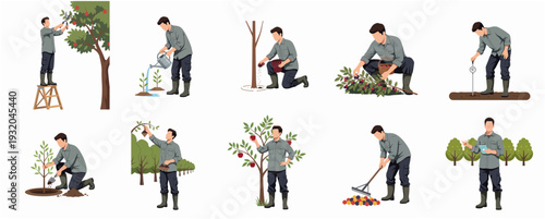 Flat Illustration Man Gardening Tree Planting and Caring Process Detailed Steps