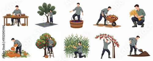 Detailed Illustration of Farmer Harvesting Various Crops at Different Stages