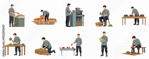 Flat Illustration Man Harvesting and Preparing Various Vegetable Crops Set