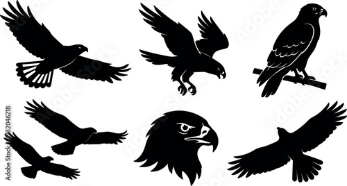 Flat silhouette vector pack showing six hawk poses in flight perched and close up with bold black shapes high contrast