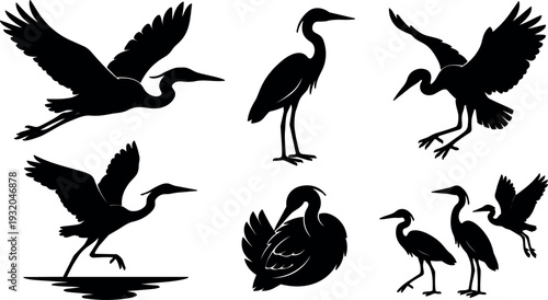 Silhouette vector heron and egret poses flying standing wading landing preening resting isolated black bird side view wing spread
