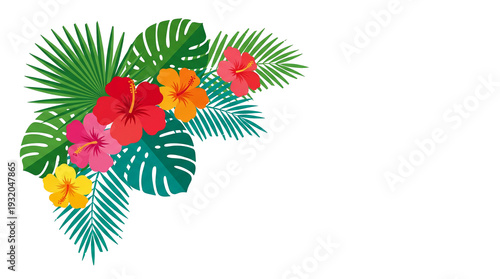 Tropical hibiscus flowers and palm leaves corner illustration on transparent background