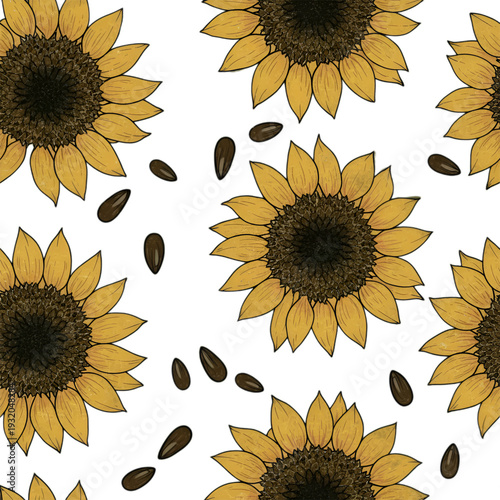 Seamless sunflower pattern with seeds