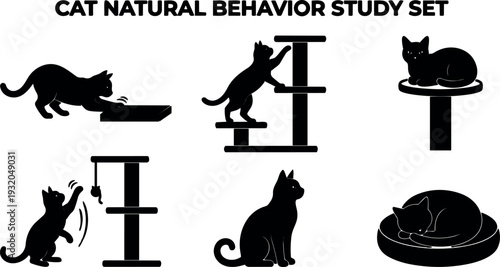 Flat design cat silhouette set showing scratching climbing sitting sleeping pawing on cat tree and round beds side view playful