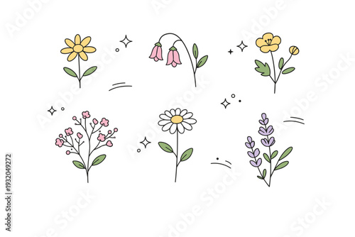 Botanical drawing. Several small wildflowers arranged in a minimal, editorial layout with gentle spacing between elements. Subtle focus on texture, form, and