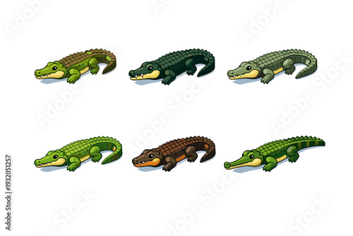 CrocodileSpecies. Isometric flat vector icons set of CrocodileSpecies: nile crocodile, saltwater crocodile, american crocodile, freshwater crocodile, dwarf