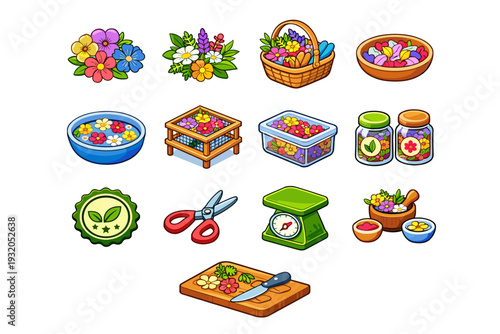 Botanical Ingredients. Colorful isometric vector icons set of Botanical Ingredients: fresh edible flowers, herb blossoms, garden basket, harvested petals,