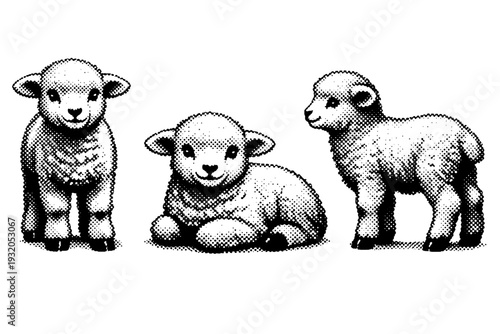 Merino Sheep ? merino lamb shown standing, seated, and side profile views focusing on youthful proportions and fluffy wool texture. Black and white dot style