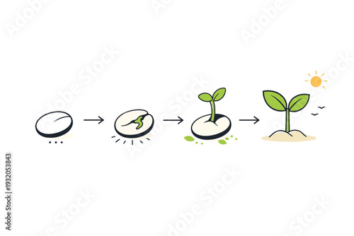 New beginnings symbolic spring art transformation. A seed opening into a sprout, shown in a simple step-by-step visual flow. The illustration conveys
