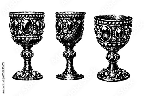 Sunken treasure jeweled goblet A realistic sunken treasure jeweled goblet presented as one object in three views: frontal upright view, side profile view, and