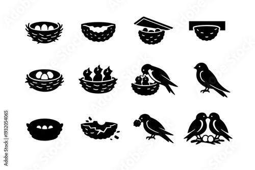 Swallow. Solid icon set of Swallow: swallow nest, mud nest, nest under roof, nest on wall, eggs in nest, chicks in nest, feeding chicks, parent swallow, nest