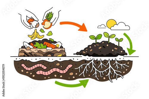 Soil health and composting cycle. Hands layering kitchen scraps into a compost pile, arrows showing transformation into rich soil that feeds young seedlings.