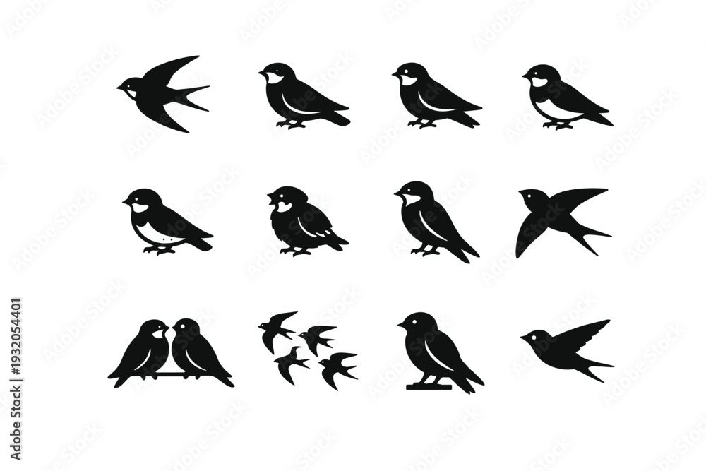 Fototapeta premium Swallow. Solid icon set of Swallow: barn swallow, cliff swallow, tree swallow, house martin, sand martin, bank swallow, juvenile swallow, adult swallow,