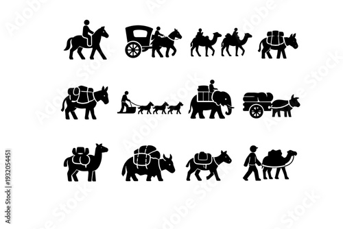 Transportation Animals. Solid icon set of Transportation Animals: riding horse, carriage horse, camel caravan, pack donkey, mule transport, sled dog team,