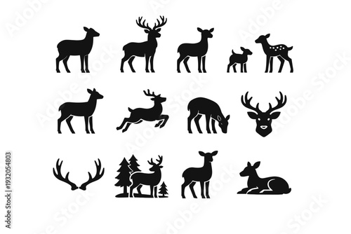 Deer. Solid icon set of Deer: deer silhouette, stag with antlers, doe, fawn, standing deer, running deer, grazing deer, deer head, antlers, forest deer, alert