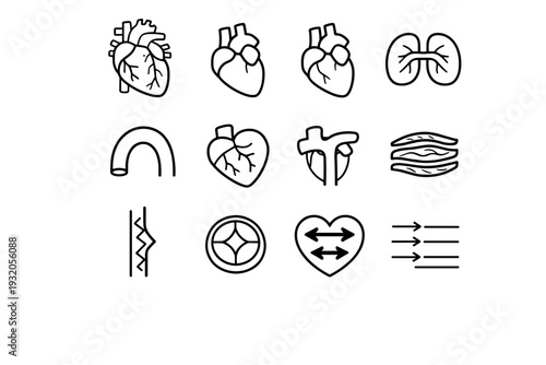 Heart Anatomy. Line icon set of Heart Anatomy: heart chambers, left ventricle, right ventricle, atrium pair, aorta arch, coronary artery, pulmonary artery,