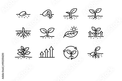 From Seed to Plant. Line icon set of From Seed to Plant: planted seed, sprouting seed, emerging shoot, young seedling, root system growth, leaf expansion,