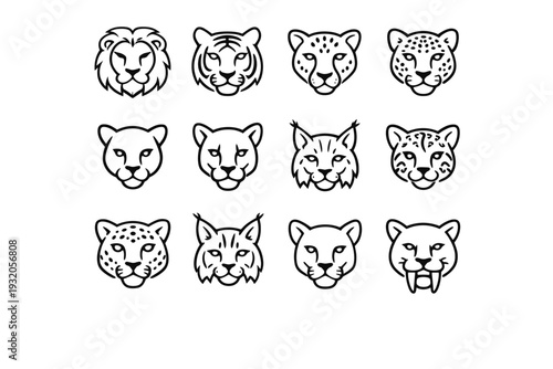 Big Cats. Line icon set of Big Cats: lion, tiger, cheetah, jaguar, panther, cougar, lynx, ocelot, snow leopard, bobcat, puma, sabre-tooth cat. All outline
