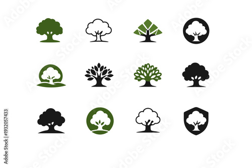 Little tree. Icon set. Set Logo of Little tree: tiny oak tree. harmonious logo variations of the same emblematic concept, each with different