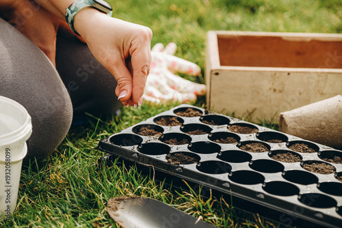 A woman grows vegetable seedlings from seeds. Close-up hand throws seeds into a container with soil.