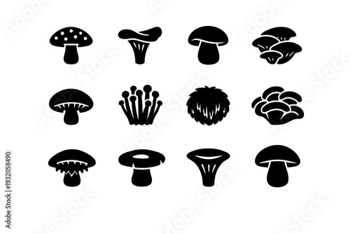 Mushroom Varieties. Solid icon set of Mushroom Varieties: fly agaric cap, chanterelle cap, porcini cap, oyster cap, shiitake cap, enoki mushroom, lion?s mane