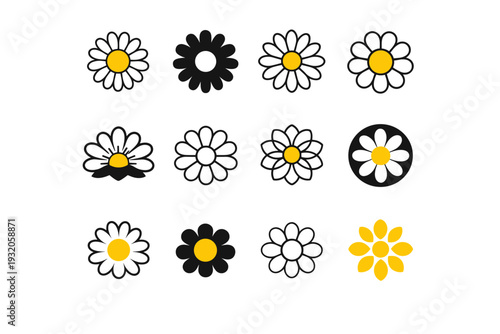 Spring flowers. Icon set. Set Logo of Spring flowers: daisy flower head. harmonious logo variations of the same emblematic concept, each with different
