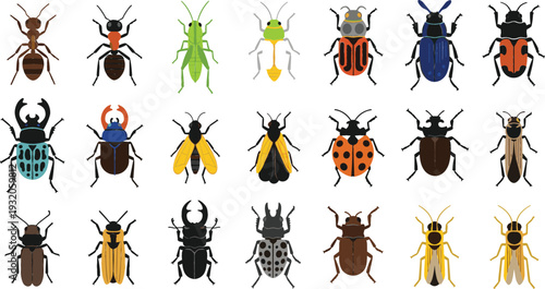 Colorful cartoon insects and beetles vector set with different bug species for education, science projects, kids illustrations, icons, and nature themed designs
