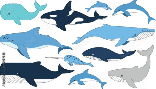 Whales and dolphins illustration set, marine mammals collection including blue whale, orca and dolphin, flat vector ocean animals isolated on white