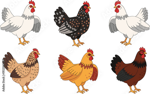 Cute chicken and hen illustration set, farm birds in different colors and poses, flat cartoon style isolated on white background