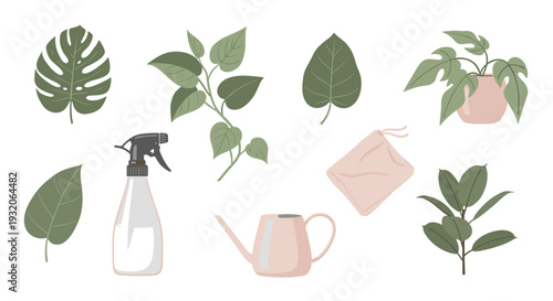 Houseplant care accessories and various green leaves are neatly arranged, showcasing essential tools for nurturing indoor plants and creating a vibrant home garden.