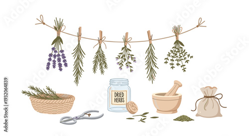 Herbs and herbal tools collection for natural medicine preparation, featuring dried plants, a mortar and pestle, and a jar of dried herbs.