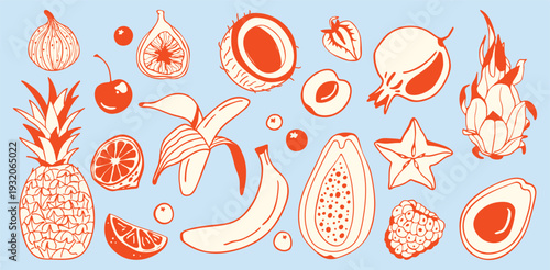 Set of tropical fruits in hand drawn style. Food collection - banana, coconut, papaya, pomegranate, pineapple and exotic fruits. Fresh summer food illustration isolated on light background. 