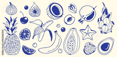 Set of tropical fruits in hand drawn style. Food collection - banana, coconut, papaya, pomegranate, pineapple and exotic fruits. Fresh summer food illustration isolated on light background. 