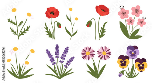 Various colorful stylized garden flowers and wildflowers including poppies, lavender, pansies, and daisies, forming a vibrant botanical collection.