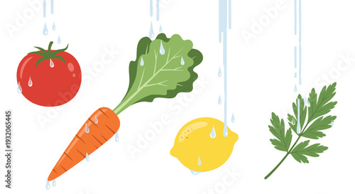 Freshly washed fruits and vegetables, including a red tomato, orange carrot, yellow lemon, and green parsley leaf, are being cleaned with water drops in a vibrant illustration.