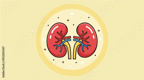 Illustration of human kidneys with ureters and blood vessels on a yellow background for Kidney Day awareness