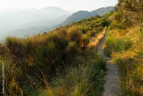 Obraz na płótnie Scenic hiking trail in the mountains near Nice France with green mediterranean bushes and misty alpine peaks under warm sunlight